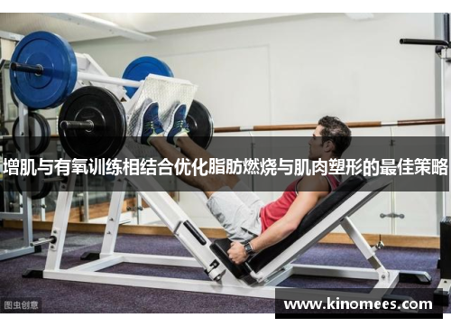 增肌与有氧训练相结合优化脂肪燃烧与肌肉塑形的最佳策略