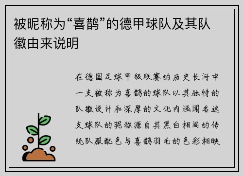 被昵称为“喜鹊”的德甲球队及其队徽由来说明