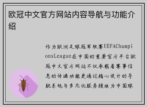 欧冠中文官方网站内容导航与功能介绍
